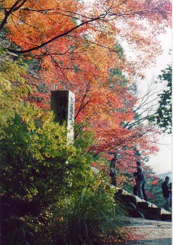 jingoji04