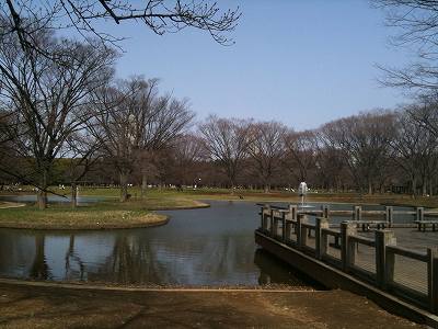 代々木公園　池　噴水