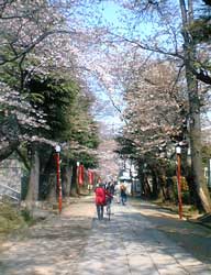 法華経寺06