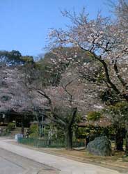 法華経寺10