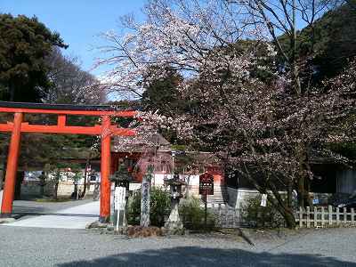 京都吉田神社201003　2