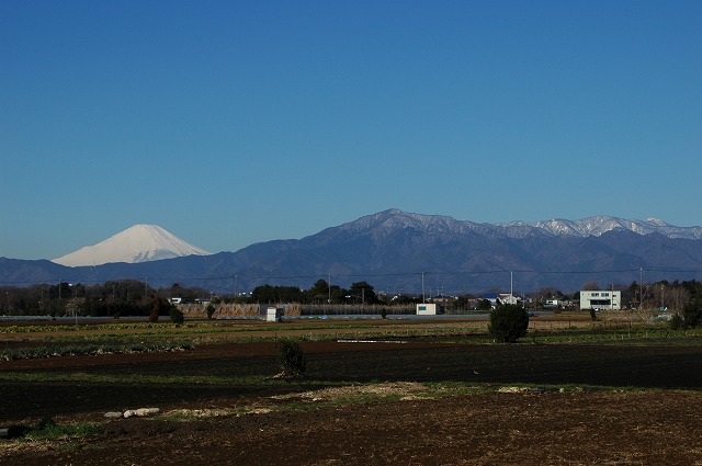 富士と大山・丹沢