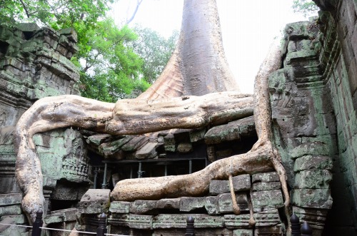 [ ヴェトナム・カンボジア旅行 ] バスリコのつぶやき 楽天ブログ