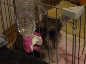 しらないよ～