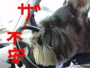 病院へ