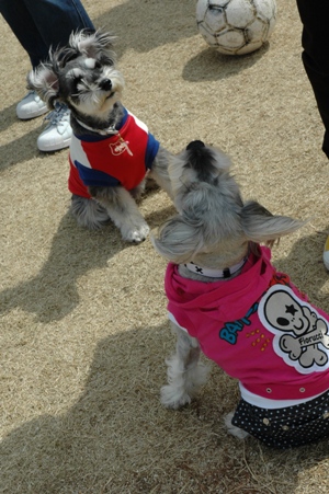 メルちゃん＆バニラちゃん