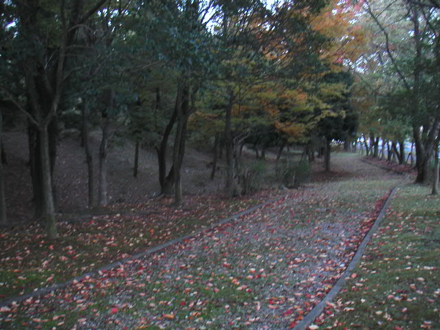 公園の秋深まる