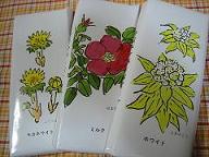 六花亭チョコ３