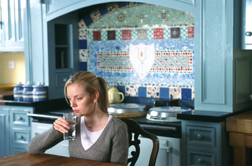 the secret life of words