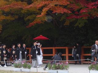 上賀茂神社の紅葉５