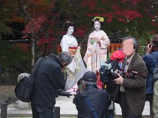 上賀茂神社の紅葉６