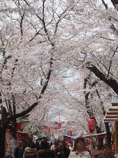 平野神社