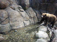 IMG_3144.JPG