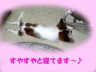 200600603-m.jpg