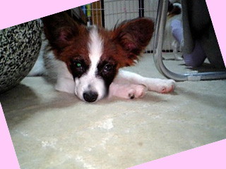 200600603-m3.jpg