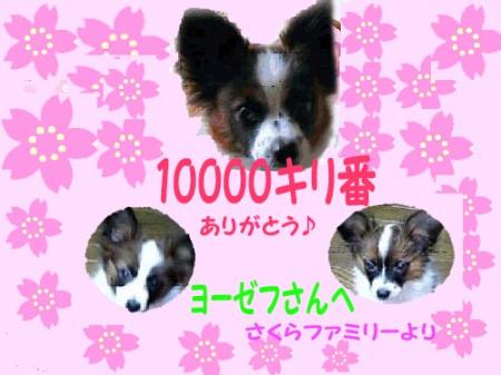 10000kiri