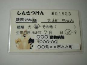 猫の診察券.JPG