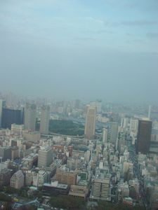 東京砂漠