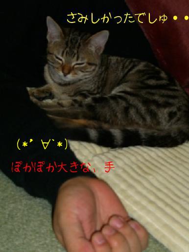 パパとサリー