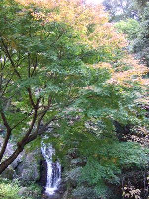 １０１１１７滝紅葉２