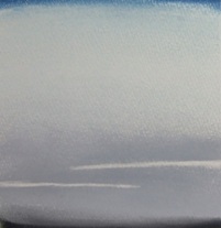 1115ひまわりさん4