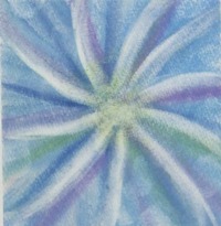 11128 ひまわりさん2