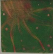 106ホタルの会ゆっこさん