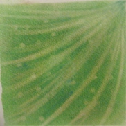 106ホタルの会英樹さん