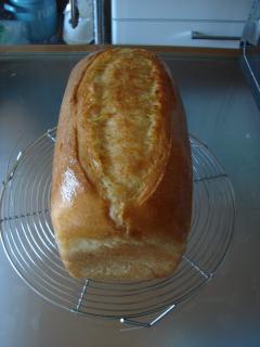 ホシノ１斤バタートップ