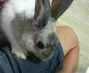 ☆アレンくん☆