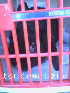 じぇいそん君２