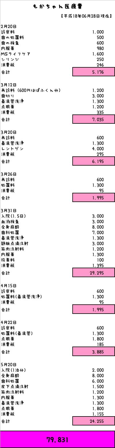 ☆もかちゃん医療費☆