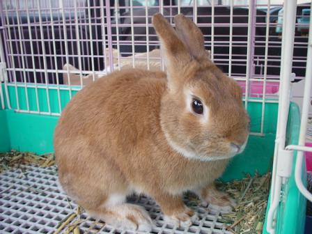 ☆エメくん１☆