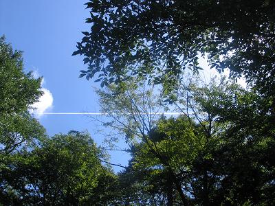 ひこうき雲