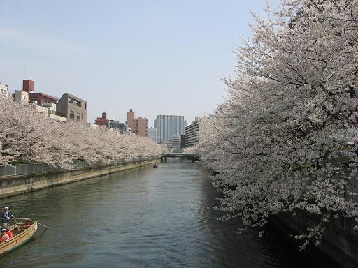 桜川