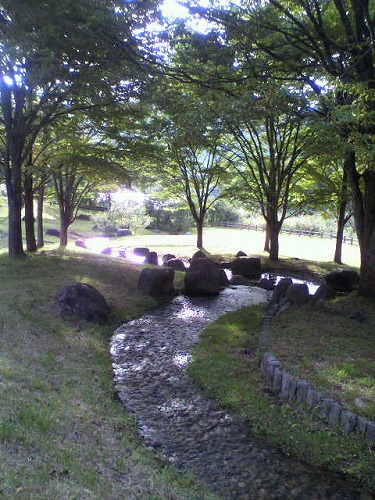 川辺の散歩道