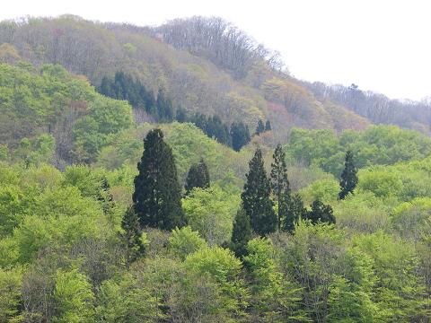 春の山