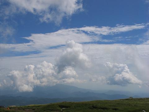 夏のくも