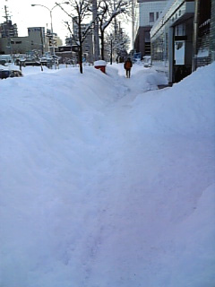 除雪追いつかず