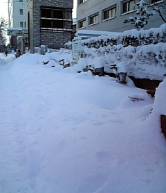 消えた自転車