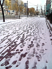 さらっと雪道