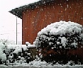 雪