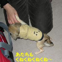 yomotsuku071125-4.JPG