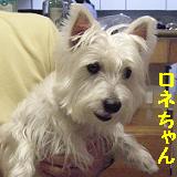 yomotsuku071125-7.JPG