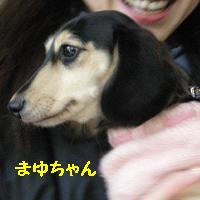 yomotsuku071130-2.JPG