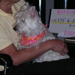 yomo070629-8.JPG