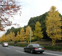 yomotsuku071201-1.JPG