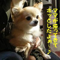 yomotsuku071104-13.JPG