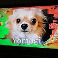 yomotsuku071215-10.JPG