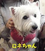 yomotsuku080202-27.JPG